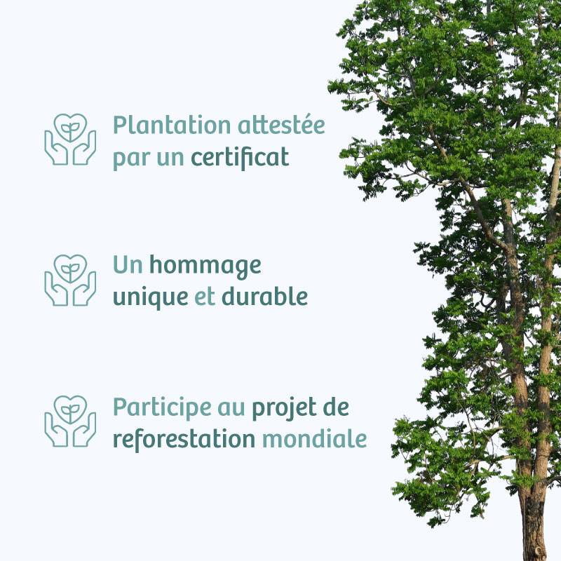 Planter un arbre en hommage à Mme Colette Boucard Née DESAYVRE